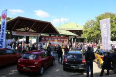 Mini IMG 6485